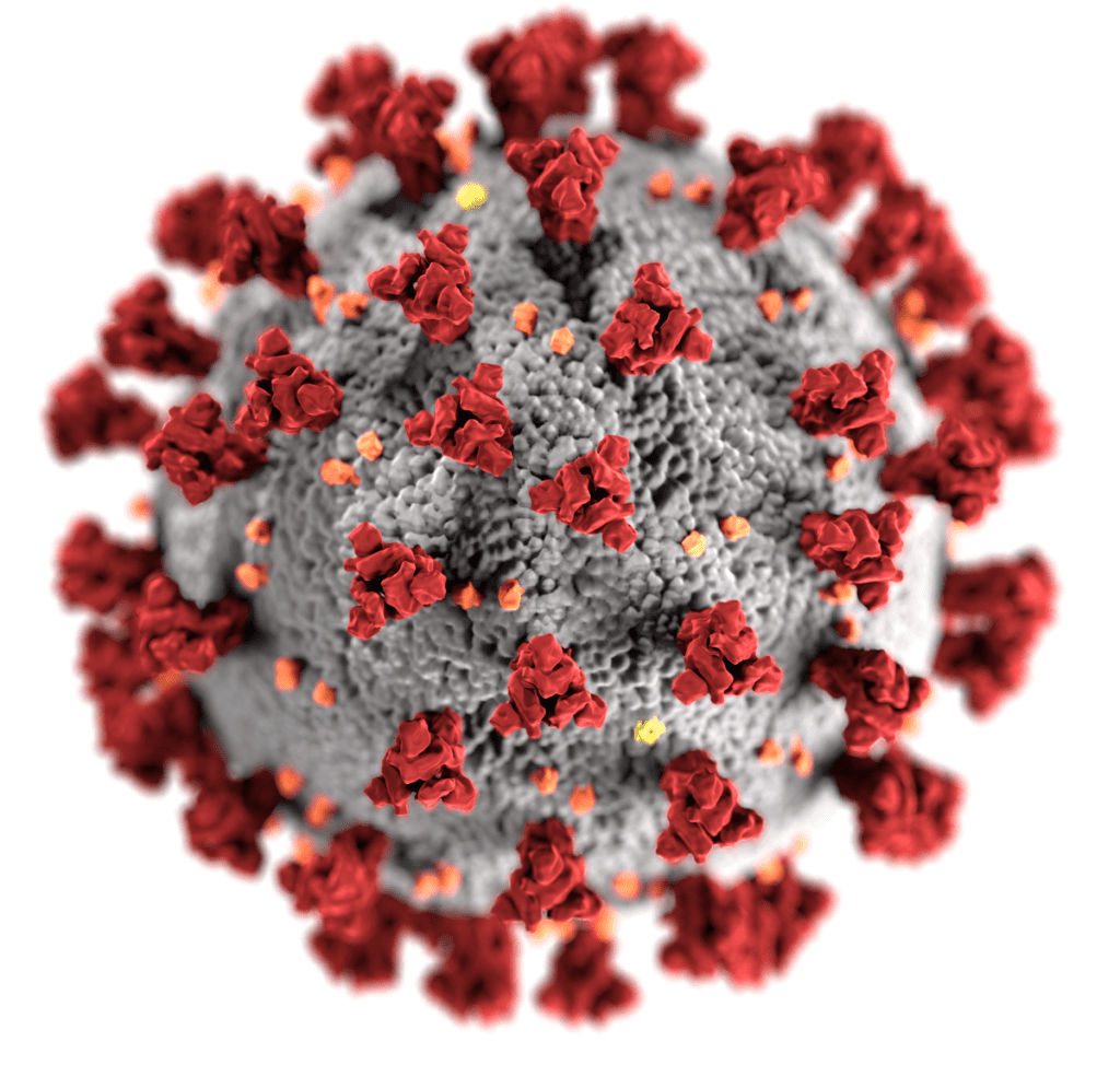 Coronavirus from Wikipedia